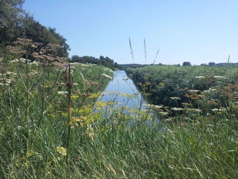 הוילה Dirkshorn Zonnig Zuid חדר תמונה